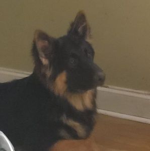 Meet your Posher, Chris